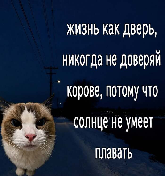 И не поспоришь