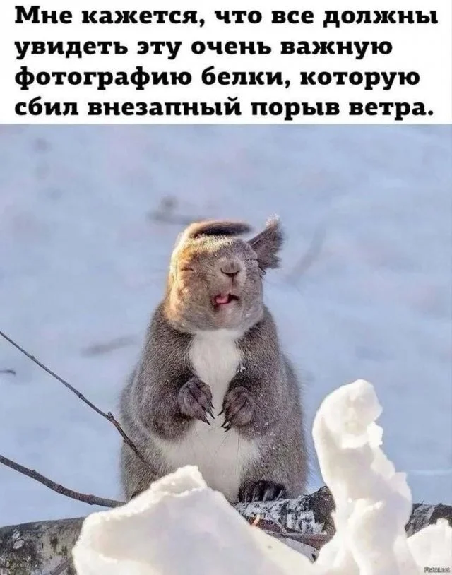 Memes to everyone's feed - Series Memes
, Humor, Picture with text, Memes, Strange humor, Longpost