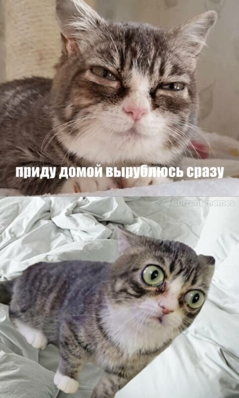 ����� ����� - ��������� �����