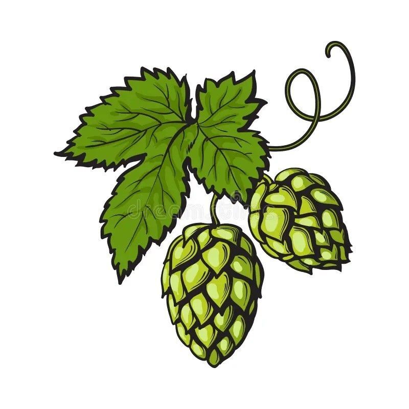 A pine cone of the gods = a drunken pine cone?! - Science and religion, Religion, Conspiracy, Alcoholics, Egypt, Wine, Humor, Longpost