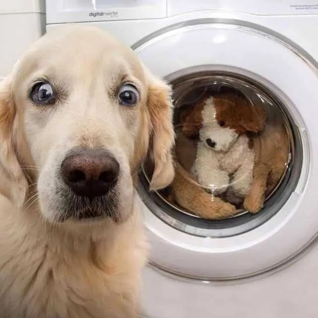 Друзья, которых мы выбираем