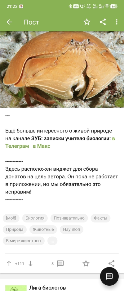 ����������� � �����������