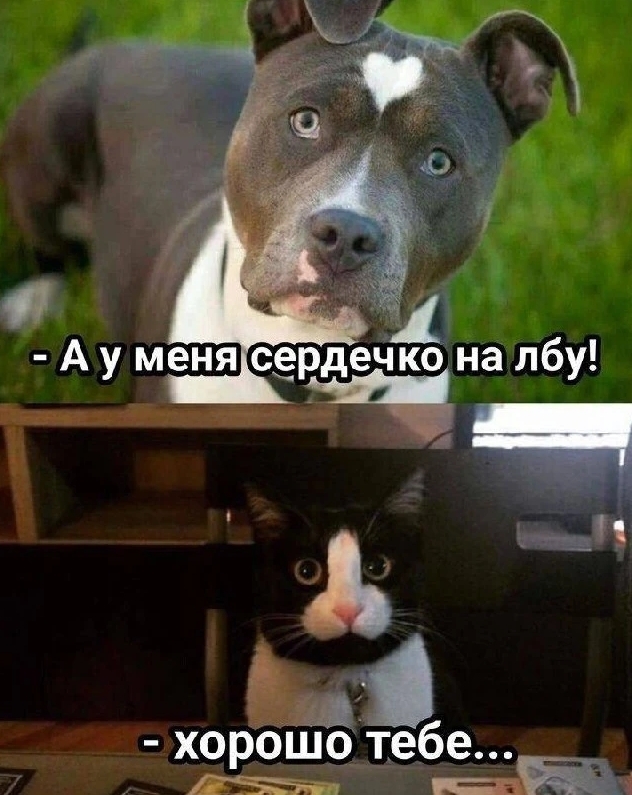 Каждому своё
