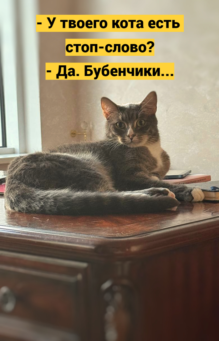 ����-�����