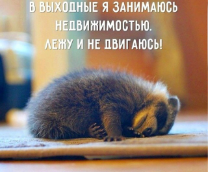 �� ���� ��������