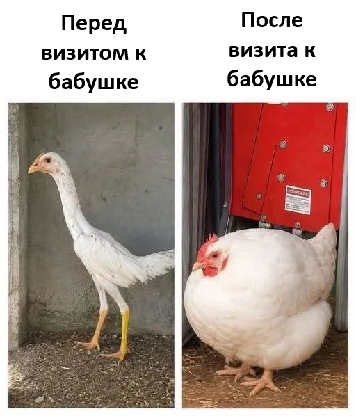 Совсем исхудал!