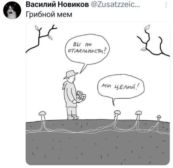 Грибной мем