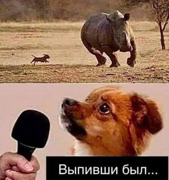 Ответ на пост «Макрон-Макрон...»