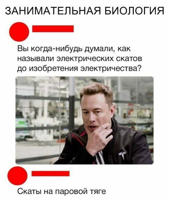Как называли?