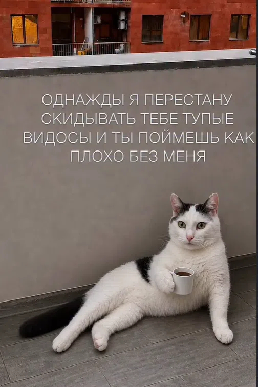 ��� ���� ����, �����,�� ����� ����� ���� ������