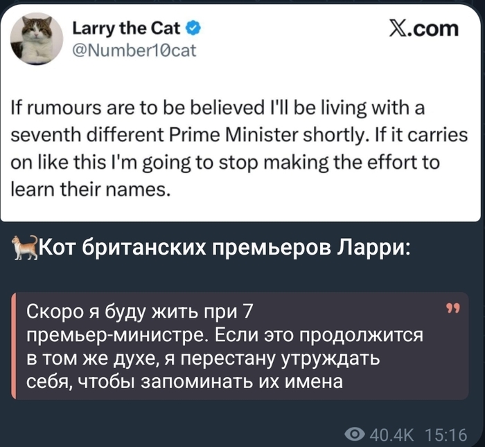 ���� ���� ��� �������