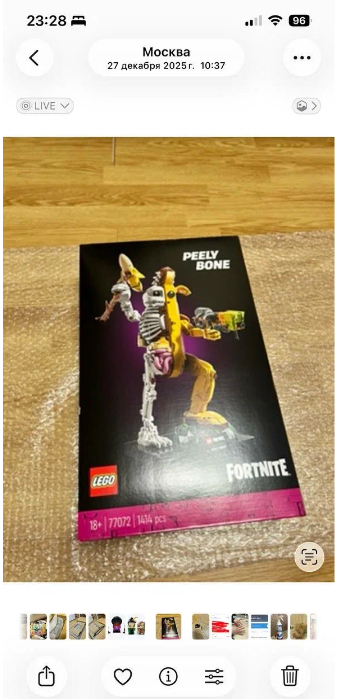 ���� ������ ����� ���������