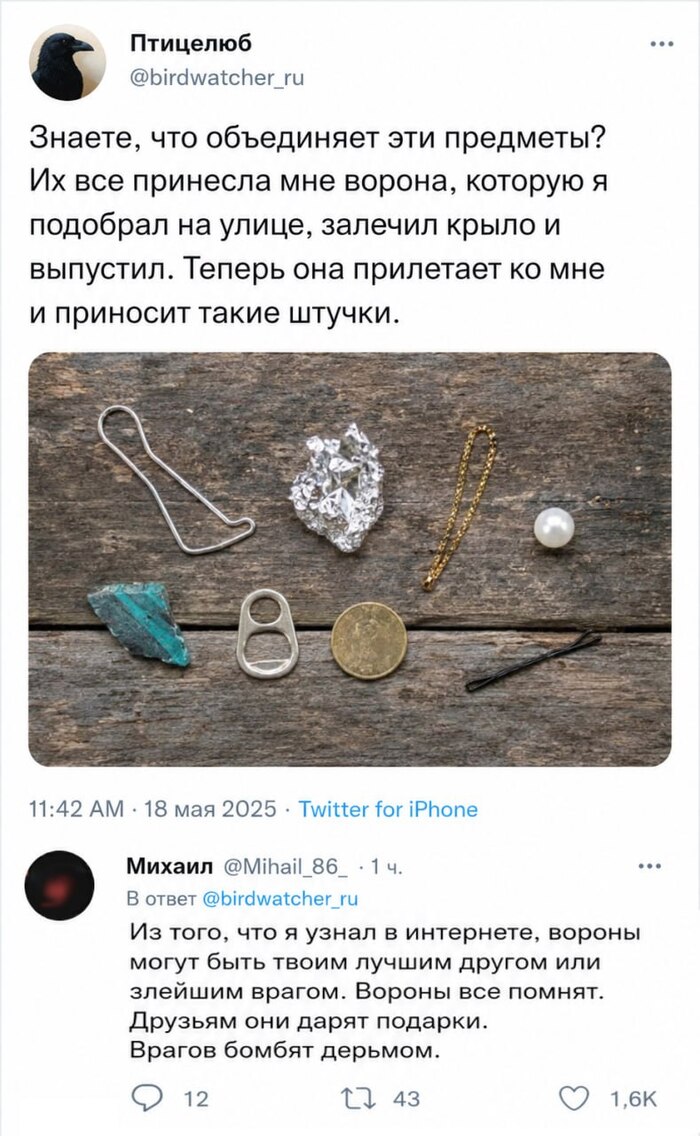 ���� ��� �����
