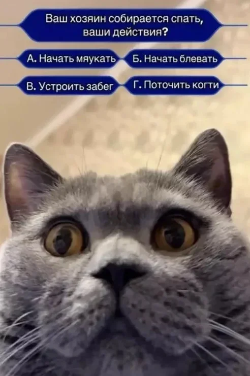 wozuxpnd.webp