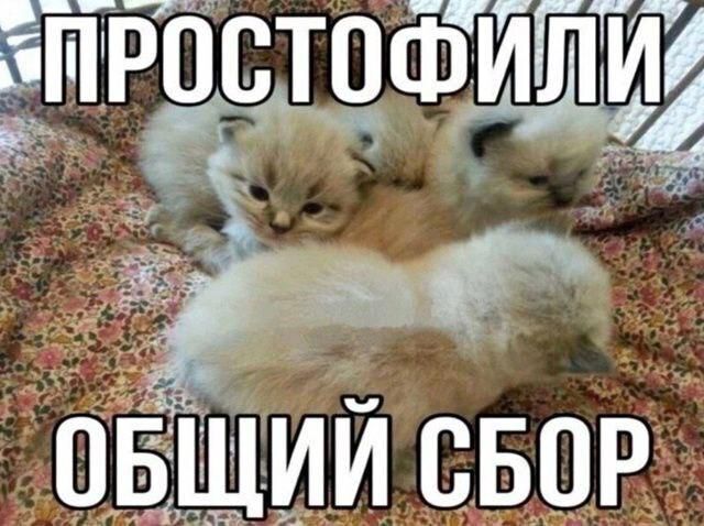 Как собрать рабочее пространство команды за один день - 23.06.26 15:24 1