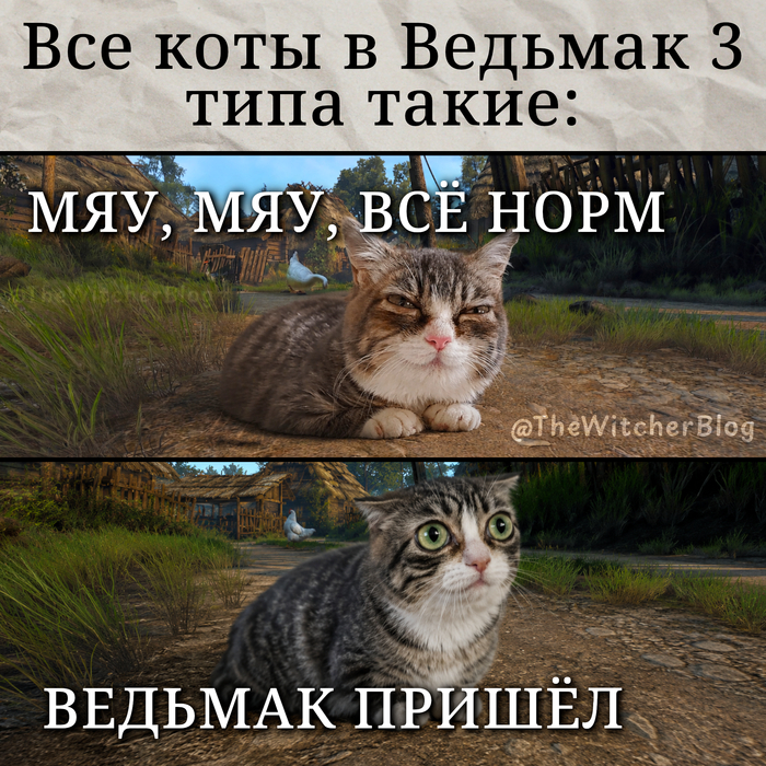 Шестое чувство