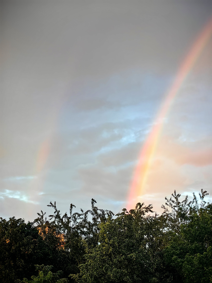 Rainbow