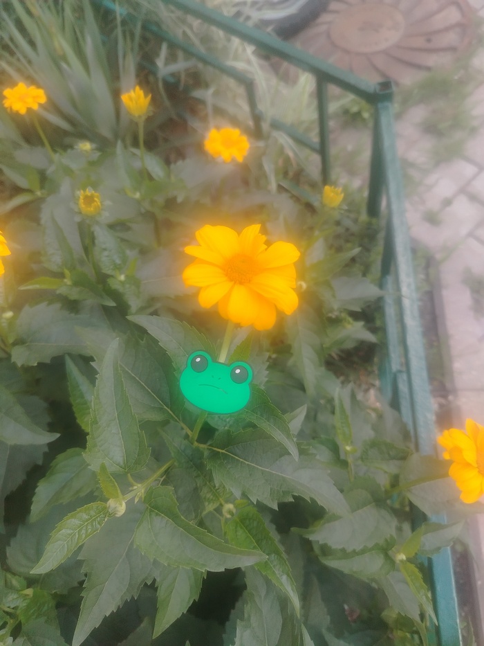 ������ ����� �� ���� , � ��� �����...