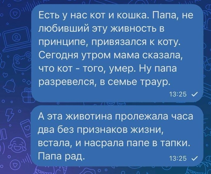 ���� ���