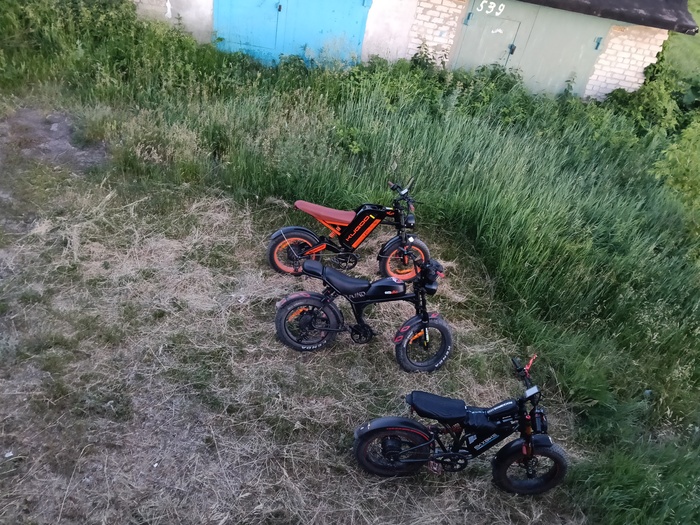 ������ ������������ � ���� ���� , ���� 
