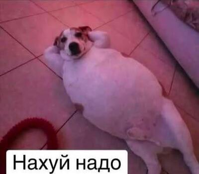 3jmuwbvr.jpg