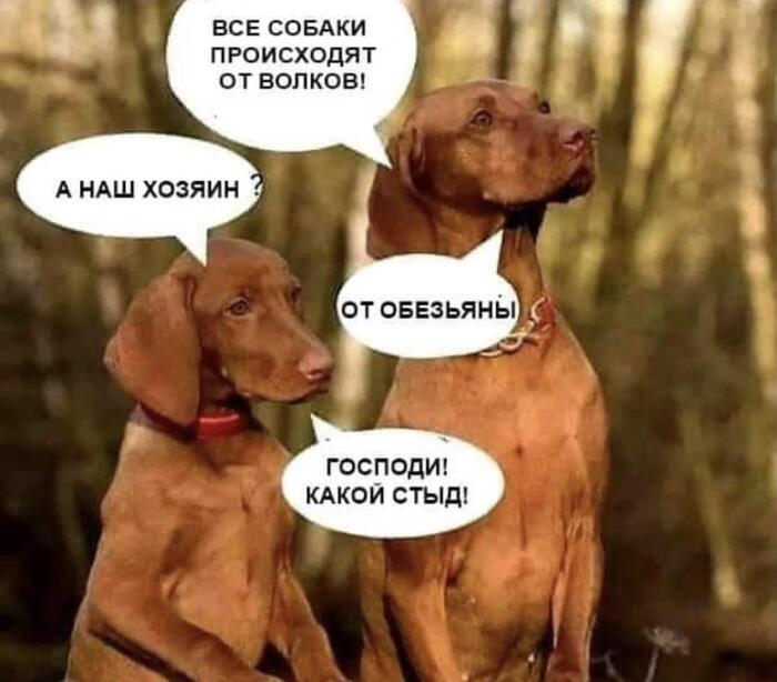 ������ ������ ��� �� �������������