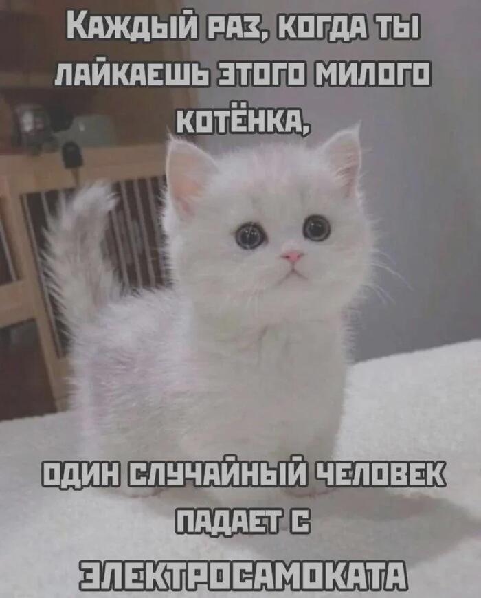 ����������� :)