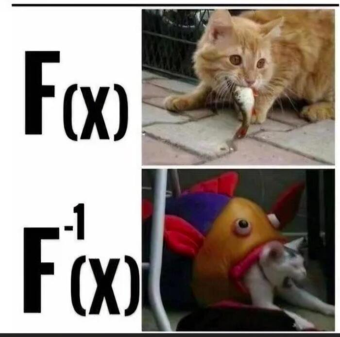 ���������� :)