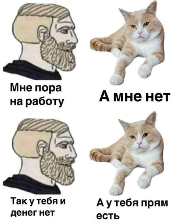 ������ )