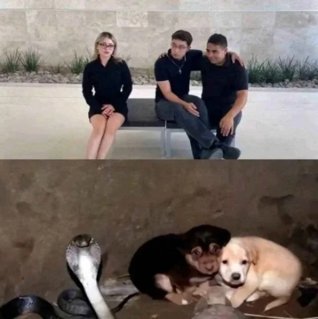 ��� ������?)