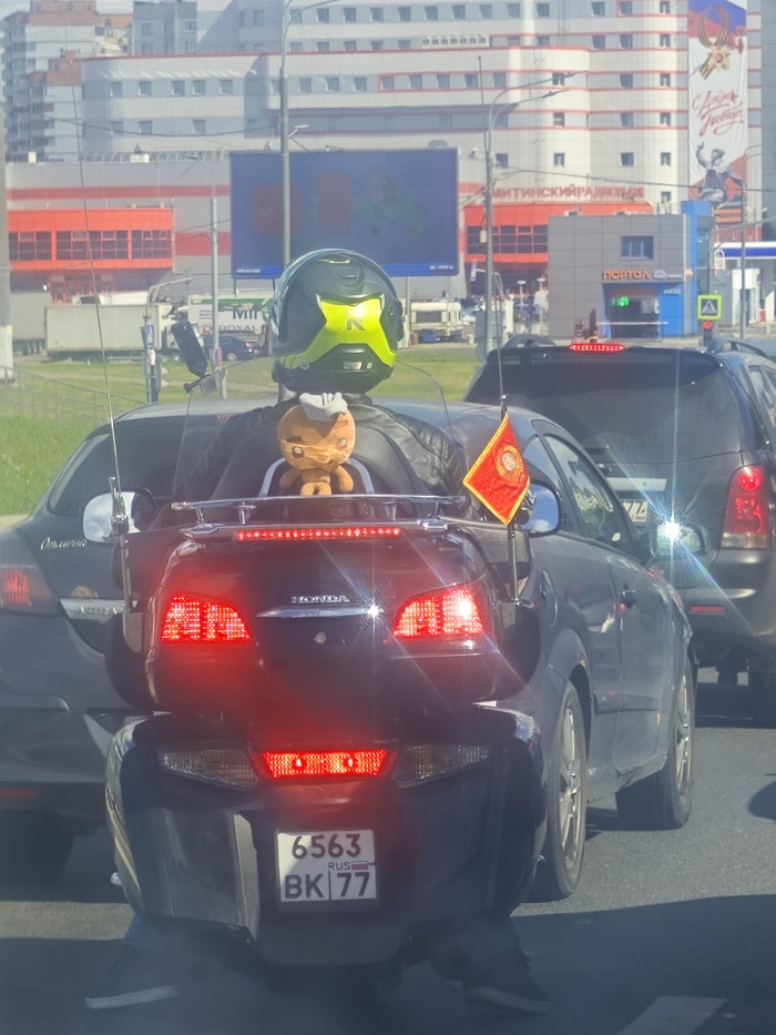 ���������� ������ ����� �� ������