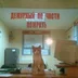 user11959531