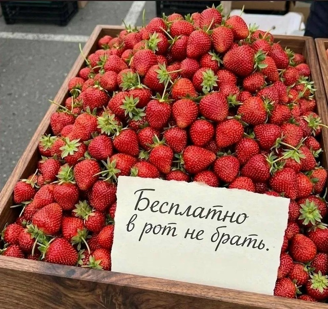 �� �� ��� ����������-�����������)