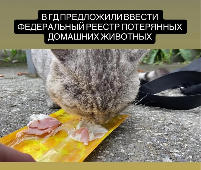 ��� ��� ����?