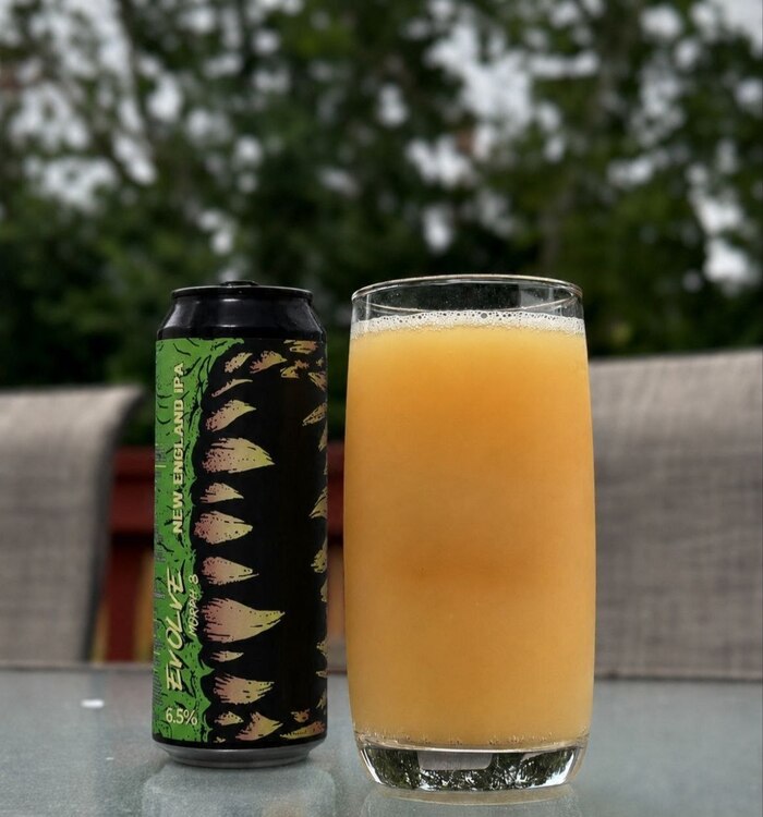 ����� ���-������� IPA �� ��������� Selfmade � Evolve Morph 8