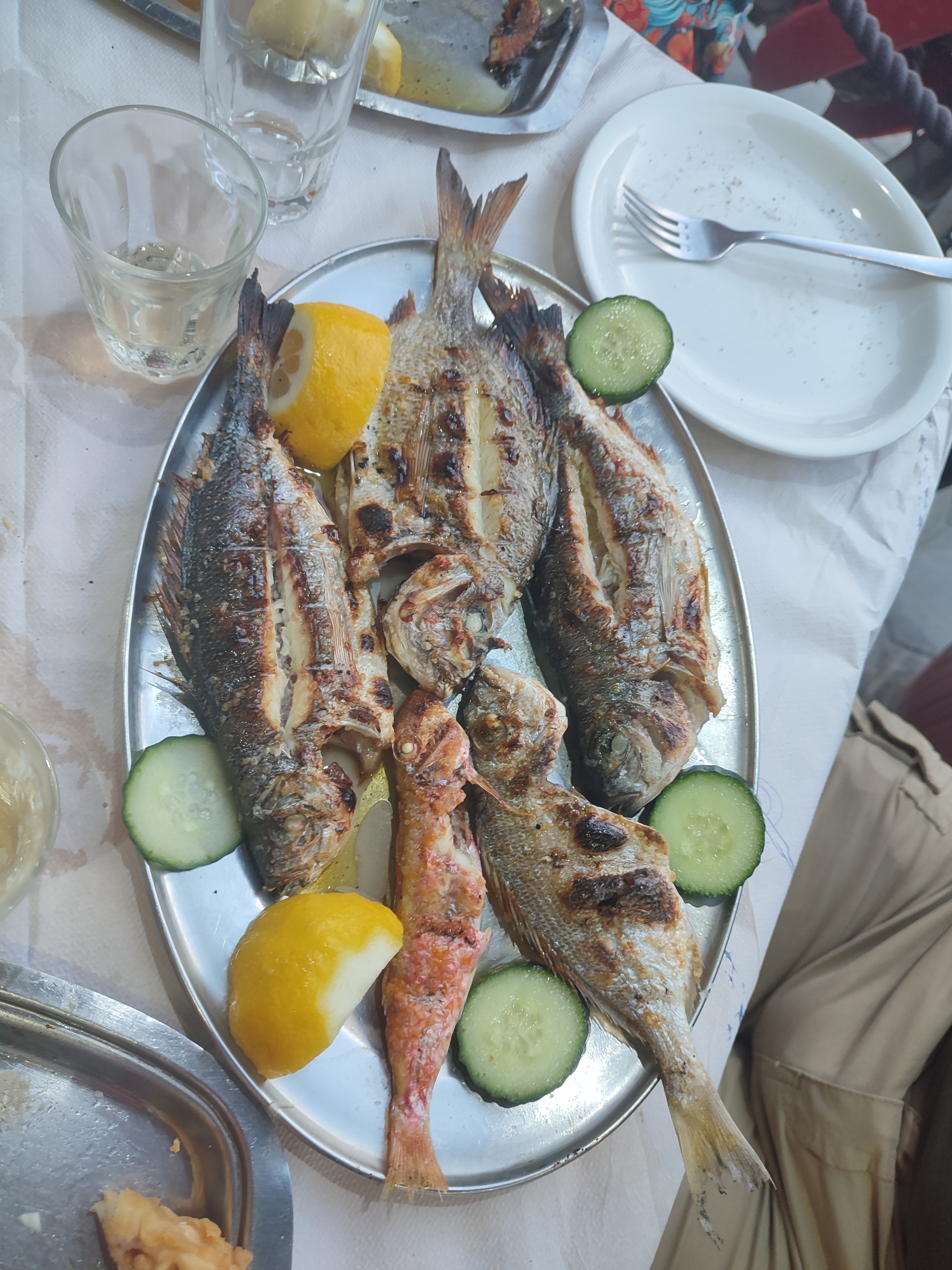 How Pikabu users sailed around Greece. Day 10, May 10. Ikaria Island - Fourni Island - Patmos Island. And dolphins. - Series Yacht Trips  Reports, My, Sea, Relaxation, Vacation, Ocean, Travels, Adventures, Yachting, Yacht, Sail, Sailboat, Video, Vertical video, Short videos, Longpost, Peekaboo+