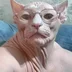 user11962004