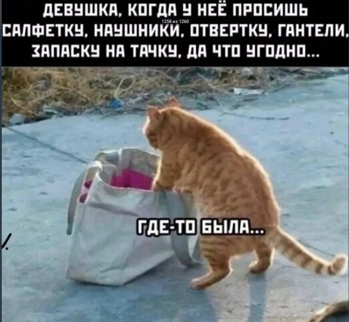 ��� ����� ������� � �������