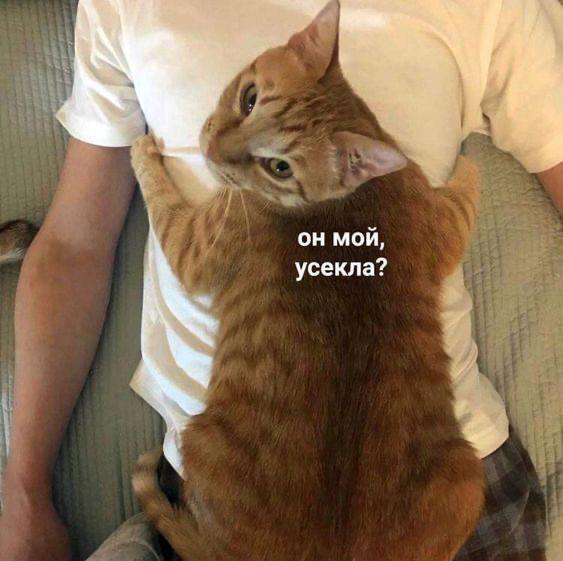 ��������� ����