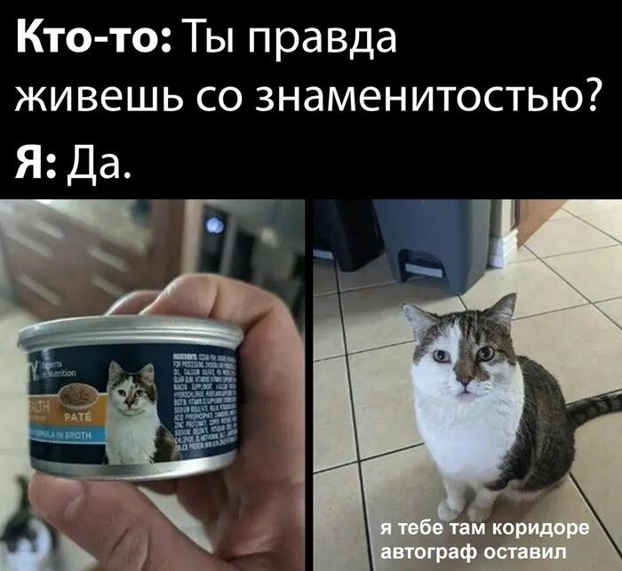 ������������ � ����������