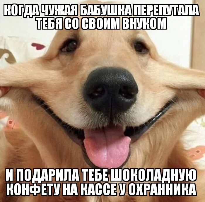 Two more memes for today and that's it, I need to get some more work done at home... - Memes, Candy, Positive, Grandmother, Humor, Muzzle, Alzheimer's disease, Atheism, Meteorite, Tv channel saved, Mat, Star trek