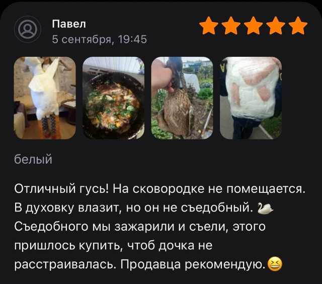 ������ ����� ����� �� �����������!