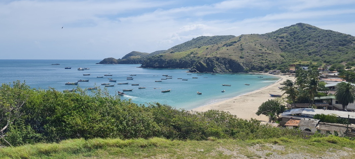 Manzanillo