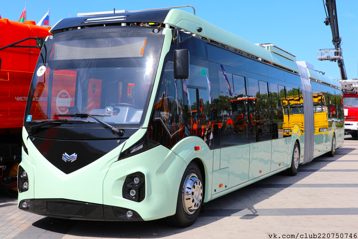 ��� 433030 Vitovt Max II
