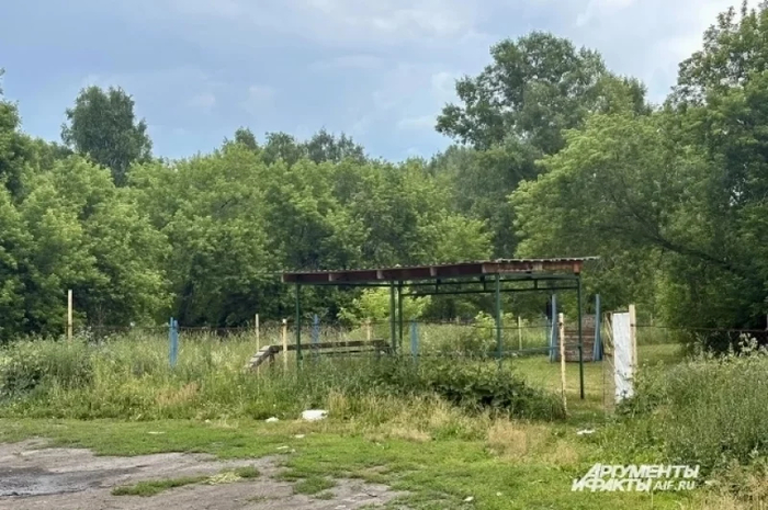 ��� ����� ����, ����� ����������� ���������� ������ � �������� ��� ������ �����, ����������� ����� � ���������.� <!--noindex--><a href="https://pikabu.ru/story/zhivem_zakopat_reportazh_iz_kemerova_gde_iznasilovali_i_ubili_shkolnitsu_14106792?u=http%3A%2F%2Fkuzbass.aif.ru&t=kuzbass.aif.ru&h=18085818724e68480f4e5d03ff7ec0cfa0ad23b2" title="http://kuzbass.aif.ru" target="_blank" rel="nofollow noopener">kuzbass.aif.ru</a><!--/noindex--> / ���� ���������