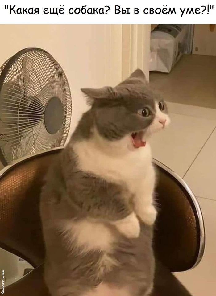 �� ��, ��������?