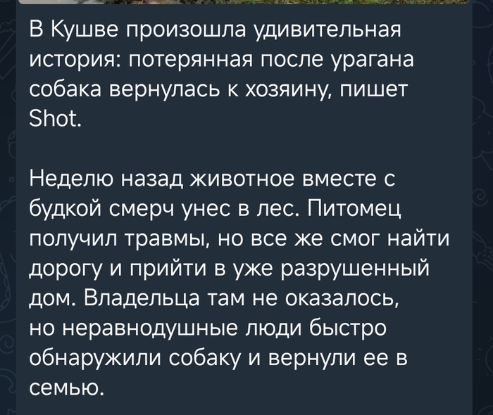 �������: ������