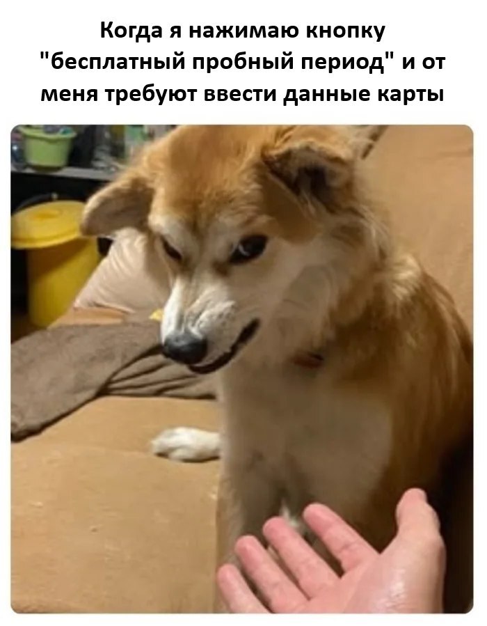 А вот и не угадали
