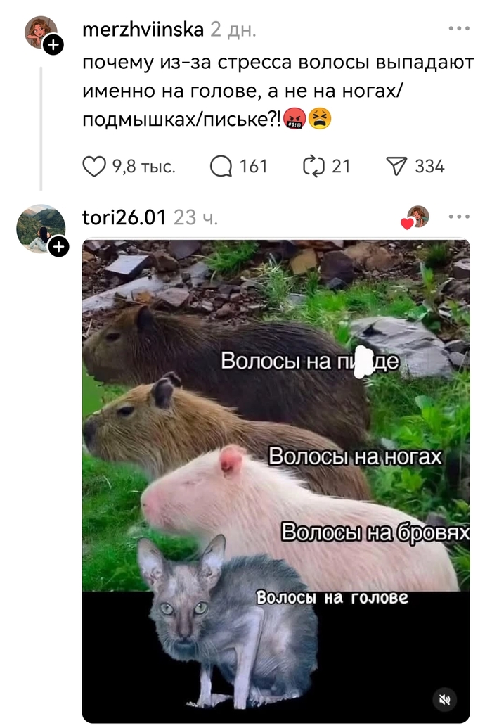 Ох уж эти волосы