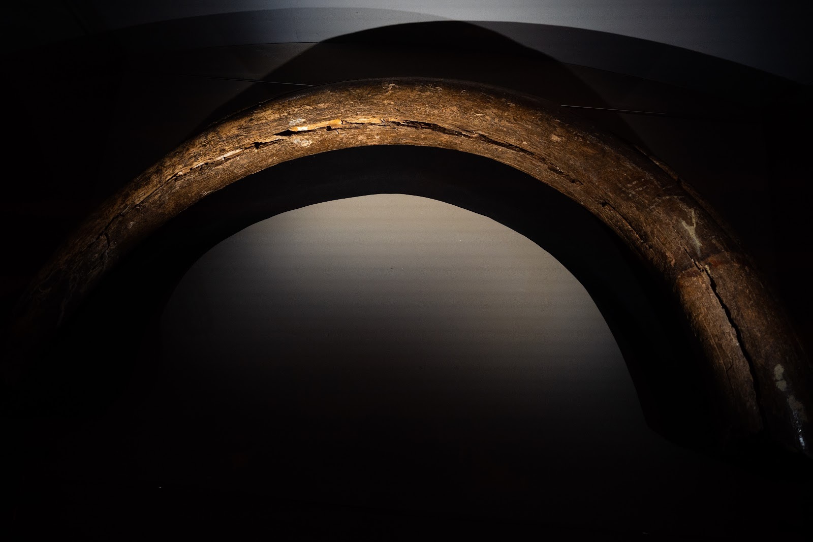 Sungir site. Upper Paleolithic in the central Russian Plain - My, Vladimir region, Vladimir city, Museum, Sungir, Stone Age, Ancient people, Burial, Mammoth tusks, sights, History (science), Archaeological excavations, Longpost